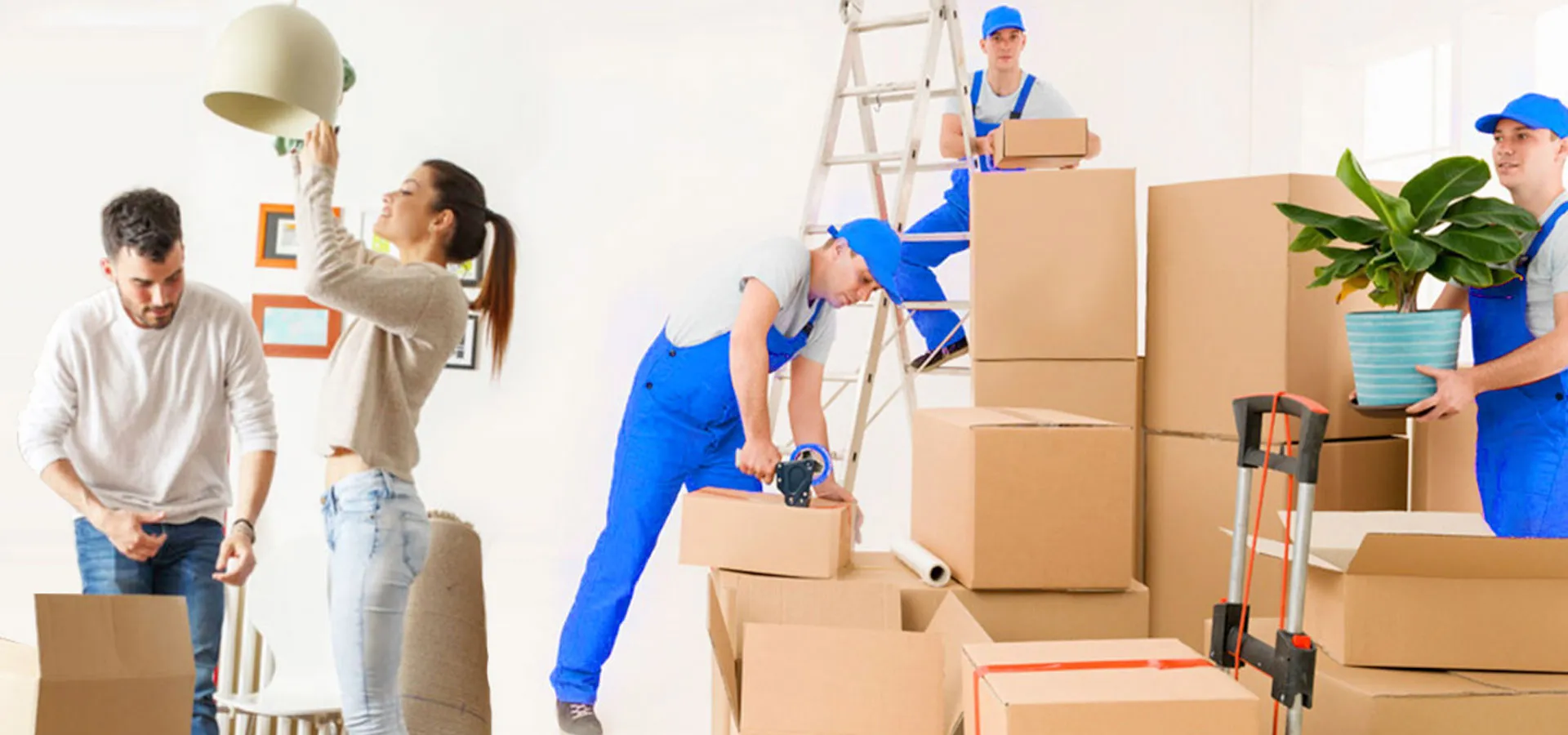 Packers and Movers Service